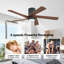 Ventilateur de plafond 48 po à 5 pales en bois massif avec ensemble d'éclairage et télécommande-1252599375-1275035817