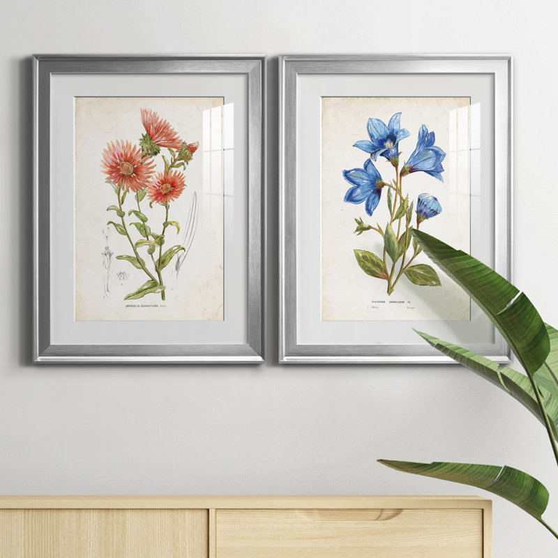 «Botanical I», ensemble de 2 reproductions d'art, Blanc, H 18,5 po x l 49 po x P 1,5 po, Papier avec cadre argenté