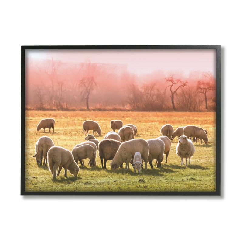 Troupeau de moutons qui broutent un coucher de soleil rose chaud prairie de campagne par Daphne Polselli - photographie à cadre flottant sur bois