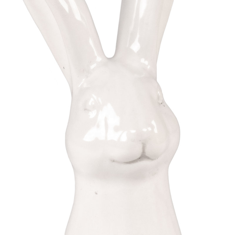 Ahnaf Animal Rabbit