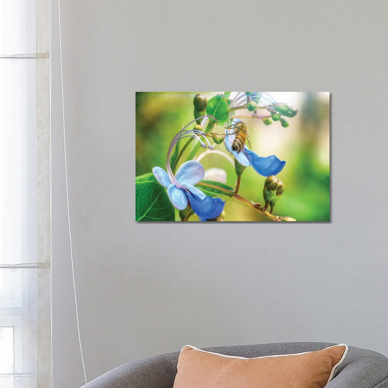 Bee Flower by Glauco Meneghelli - Wrapped Canvas Print, 66.04 cm H x 45.72 cm W x 1.91 cm D