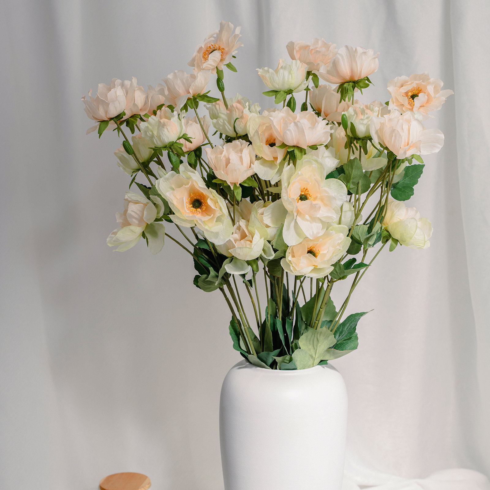 Audet Anemone Stems, Champagne