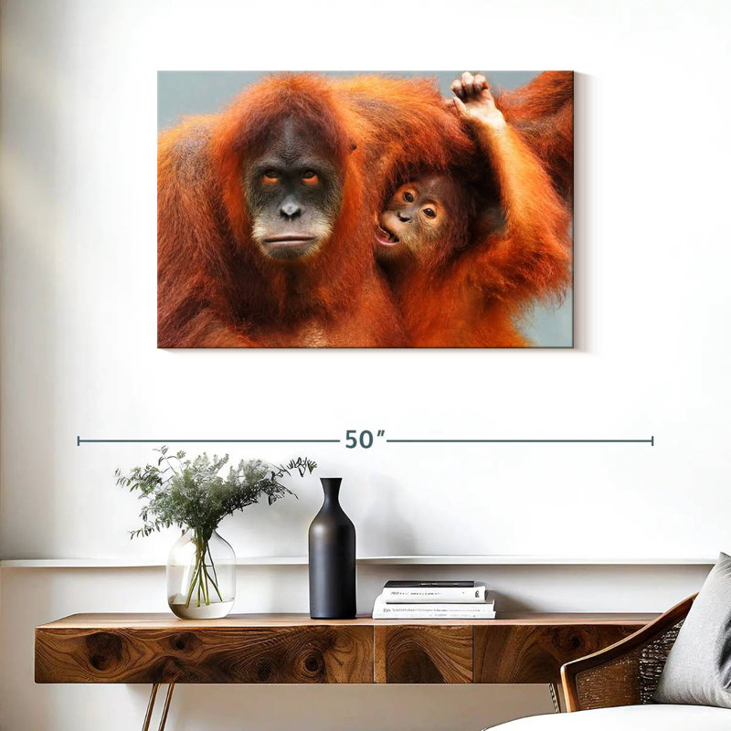 Sumatra Orangutans
