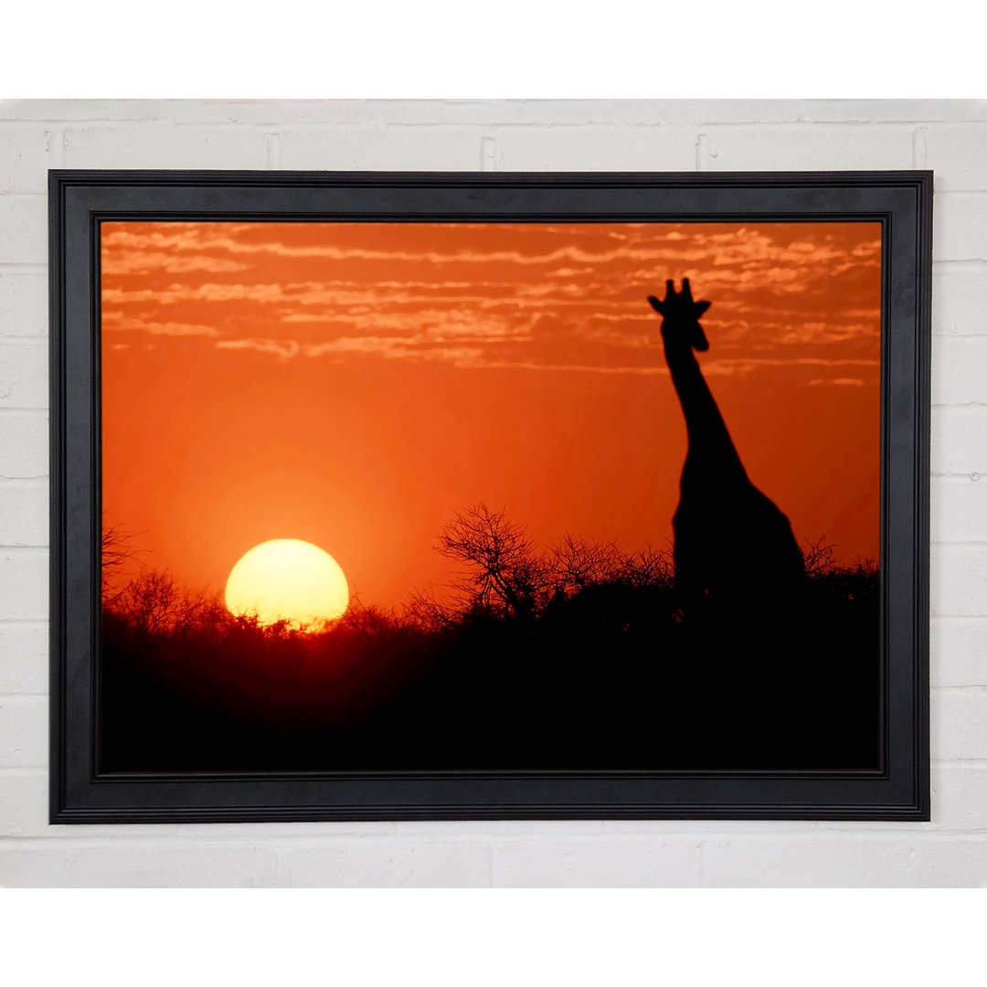 Afrikanische Giraffe bei Sonnenuntergang - Einzelner Bilderrahmen Druck