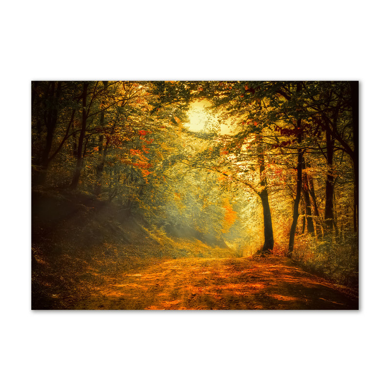 Autumn Forest - Wrapped Canvas Print