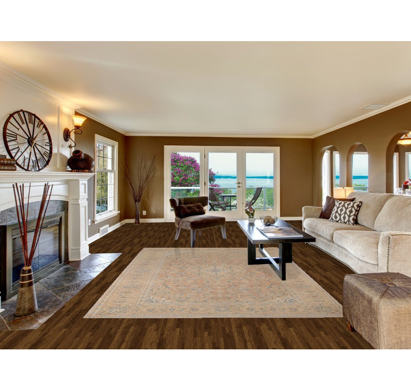 Traditional Area Rug 7x10