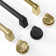 ZLINE 30 in. Autograph Paramount Rangetop in Black Stainless Steel w/ Gold Accents