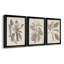 Antique sépia botanicals vii - ensemble de 3 peintures sur toile encadrées-1859238281-1859238285