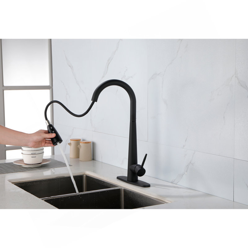 Single Handle Stainless Steel Kitchen Sink Faucet With Pull Down Sprayer, Matte Black