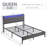 Mesum Fabric Upholstered Frame with LED Lights-172840091