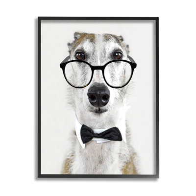 Drôle de chien avec lunettes formelles et nœuds papillon - impression