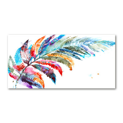 Colourful Feather - Wrapped Canvas Print