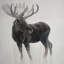 Imprimé matelassé Bull Moose-1956849961-1956849963