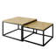Sattley 2 Piece Coffee Table-986794377-986794389-979999774