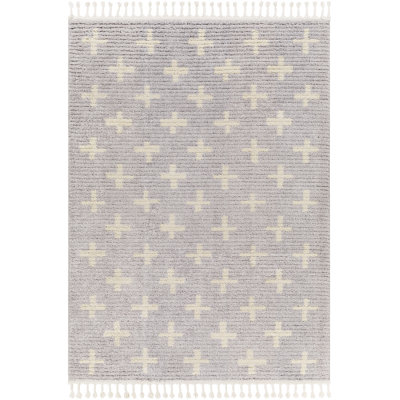 Airik Indoor Rug