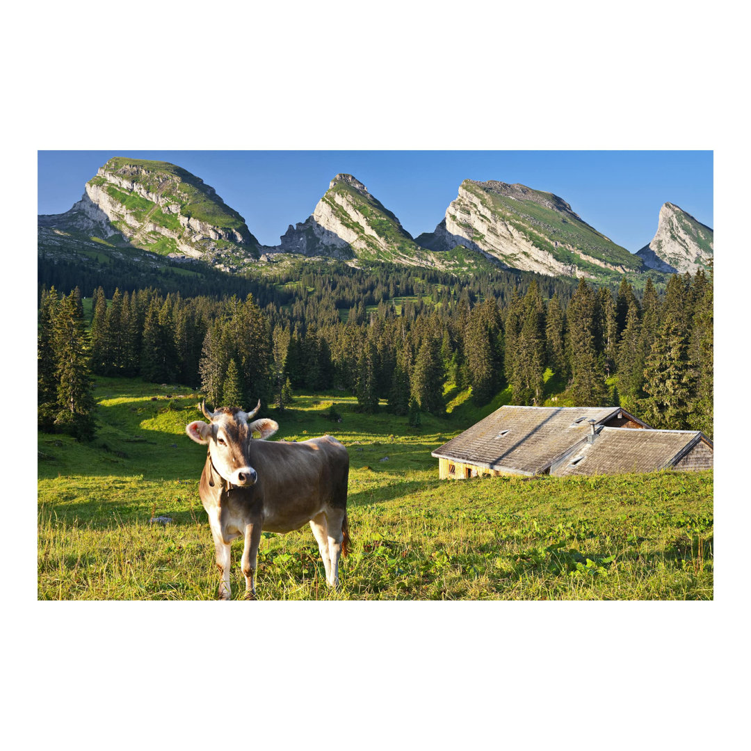 Swiss Alpine Meadow with Cow 2.88m x 2.88m Embossed Matt Peel & Stick Wall Mural