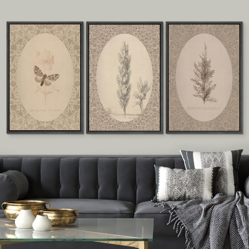 Œuvre d'art botanique et papillon classique, insectes et arbres, Black Floater Framed, H 24 po x l 48 po
