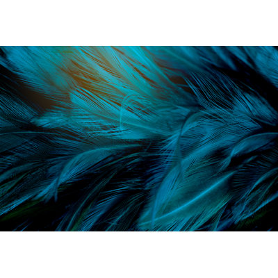Beautiful Feather Pattern Texture Background by Nadtytok - Wrapped Canvas Print