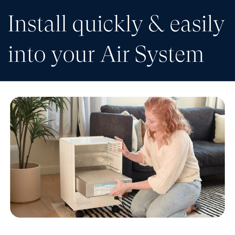 Filtre de purificateur d'air