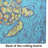 Turtle Drive Glass Cutting Board