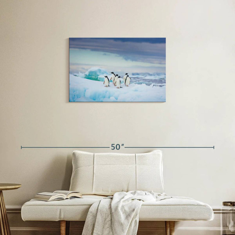 Pingouins adorables de Brampt, H 20 po x l 30 po