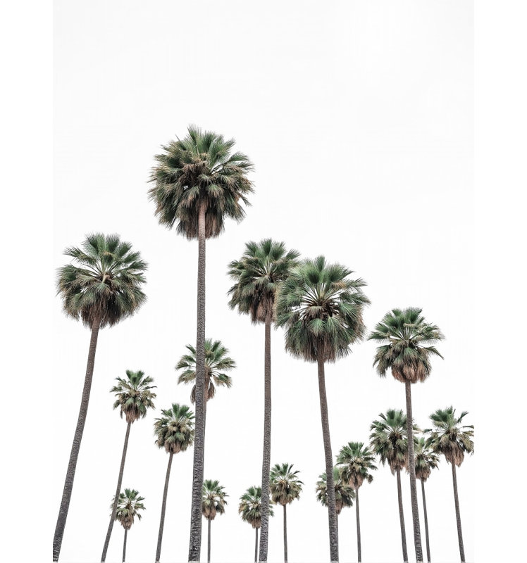 Tall Tropical Palms by Josie George — Landscape Wall Art, Framed Canvas, 12 × 18, Gold