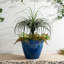 Ensemble de 2 pots à fleurs ronds en céramique artificielle bleu cobalt 19,5 po-995547855-995547891