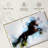 Horse Running-2089134359