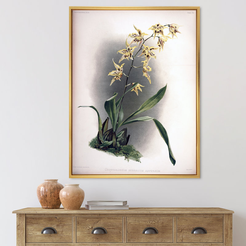 Fleur d'orchidée rétro - peinture sur toile, H 20 po x l 12 po x P 1po, Cadre flottant doré
