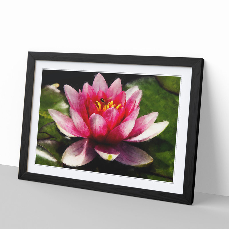 Pink Water Lily Flower Vol.3 - Framed Print, 36cm H x 48cm W x 2cm D, Black Framed