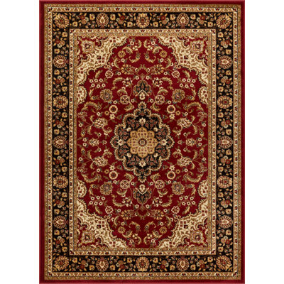 Cobbins Medallion Kashan Red Traditional Rug