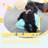 Dog House Accessories New Puppy Starter Training Kit