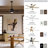 Bhram 48'' Ceiling Fan with LED Lights