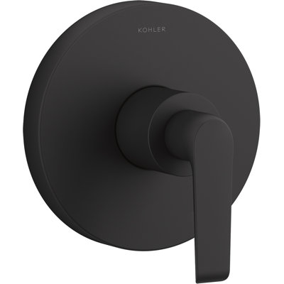 Avid Rite-Temp Valve Trim With Lever Handle