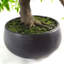 127cm Faux Bonsai Plant in Pot Liner