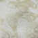 Premium Machine Washable Prisco Beige Rug