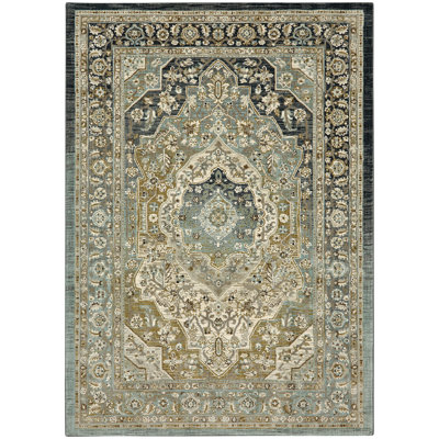 Touchstone Oriental Indoor Rug