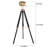 Michael 55" Tripod Floor Lamp