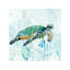 Sea Turtle Swim I by Carol Robinson - No Frame Print on Canvas-56677061-50004892