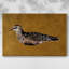 Toile tendue I-Gallery Feathered Friend-1115253536
