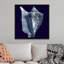 « Indigo shells I » par vision studio-impression-1160195867-1160195840