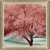 Zen Tree Giclee Print by Carrier And Company