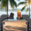 Chaise Adirondack pliante en PEHD noire à dossier réglable