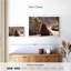 Phoque bronzant-1369388207