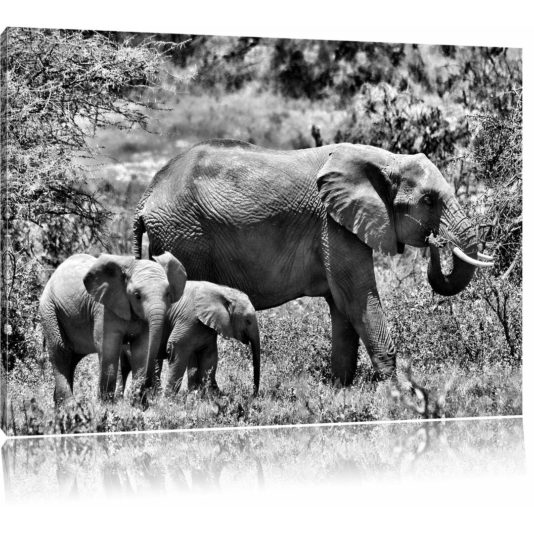 Leinwandbild Friedliche Elefantenfamilie in Monochrom