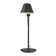 Benildas Adjustable Metal Desk Lamp