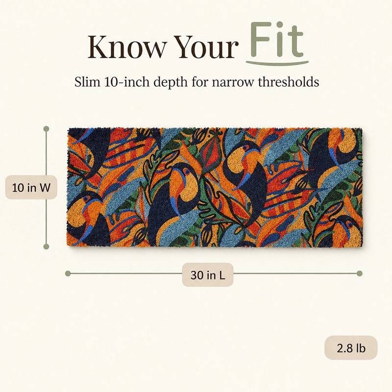 Toucans 30x10 Long Sheltered Front Door Mat Coco Multicolor