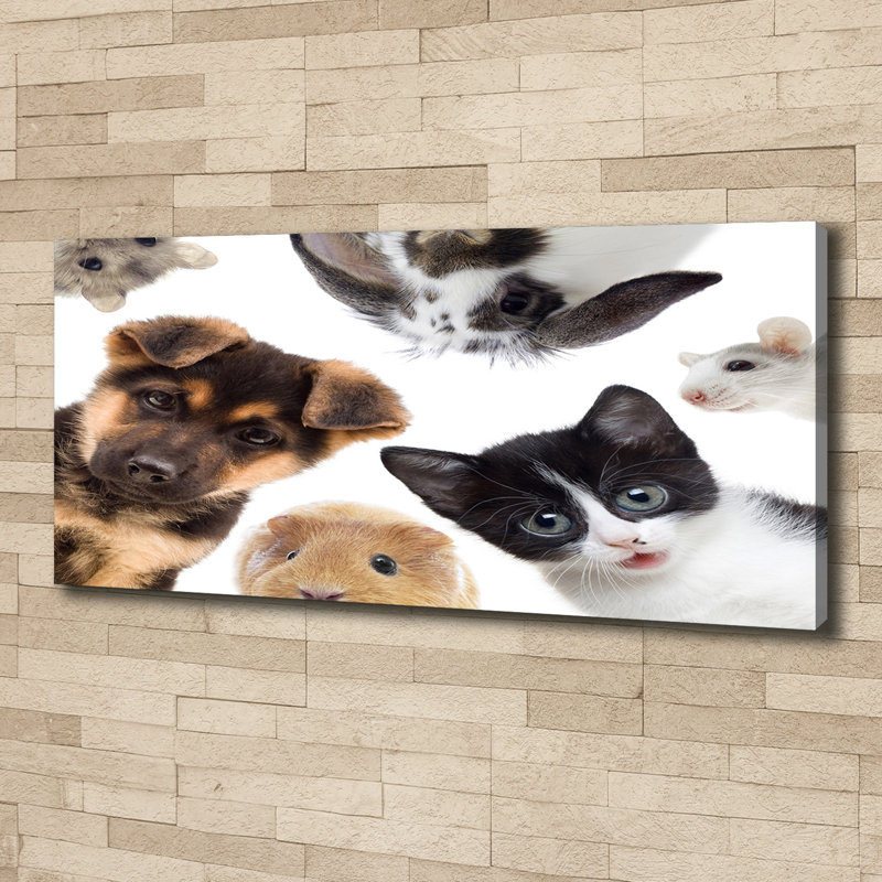Pets - No Frame Print on Canvas
