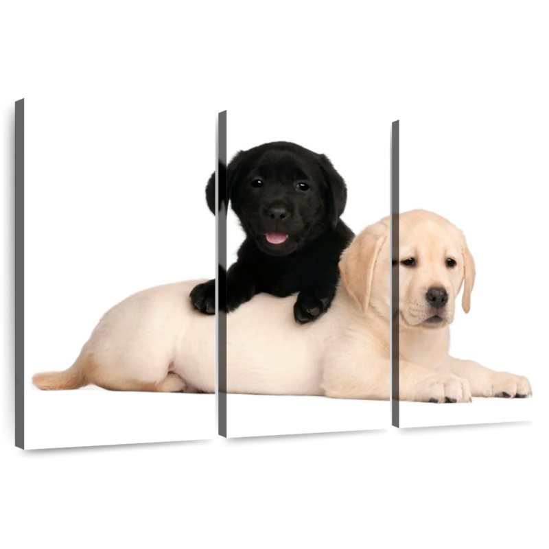 Brampt Yellow And Black Lab, 24" H x 38" W