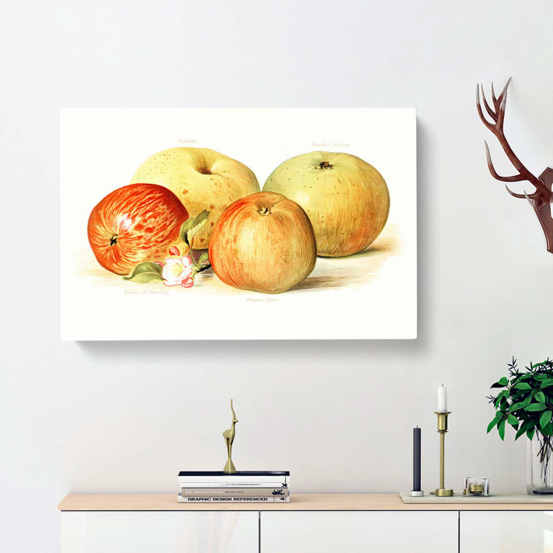 Vintage Illustration of a Selection of Apples - Wrapped Canvas, 60cm H x 91cm W x 3cm D